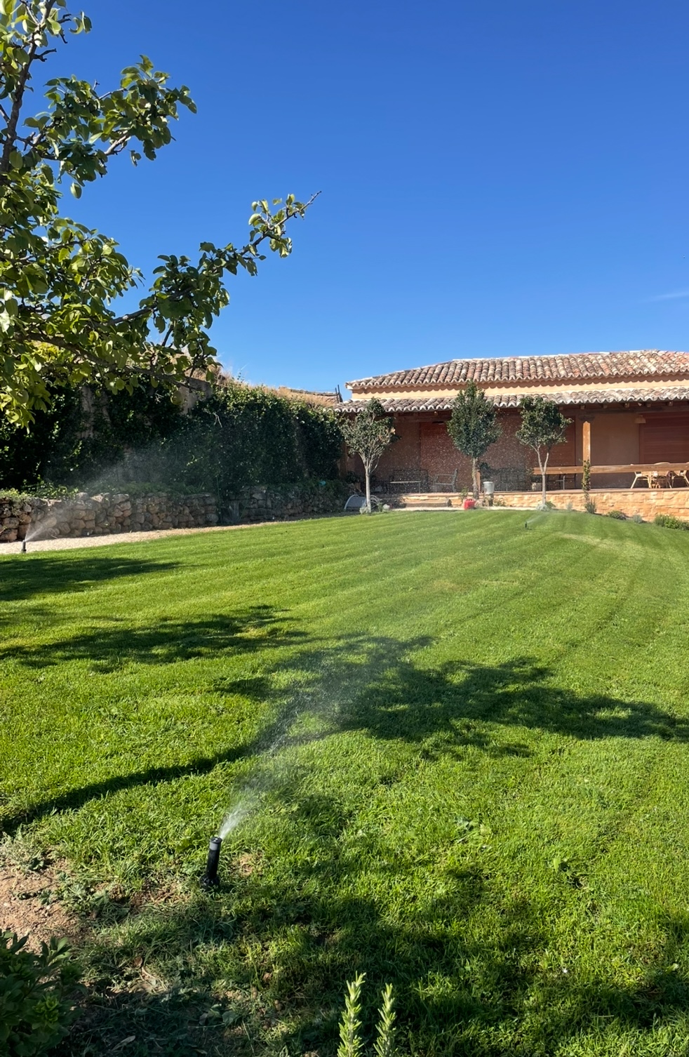 Poda en altura - RURALMAT