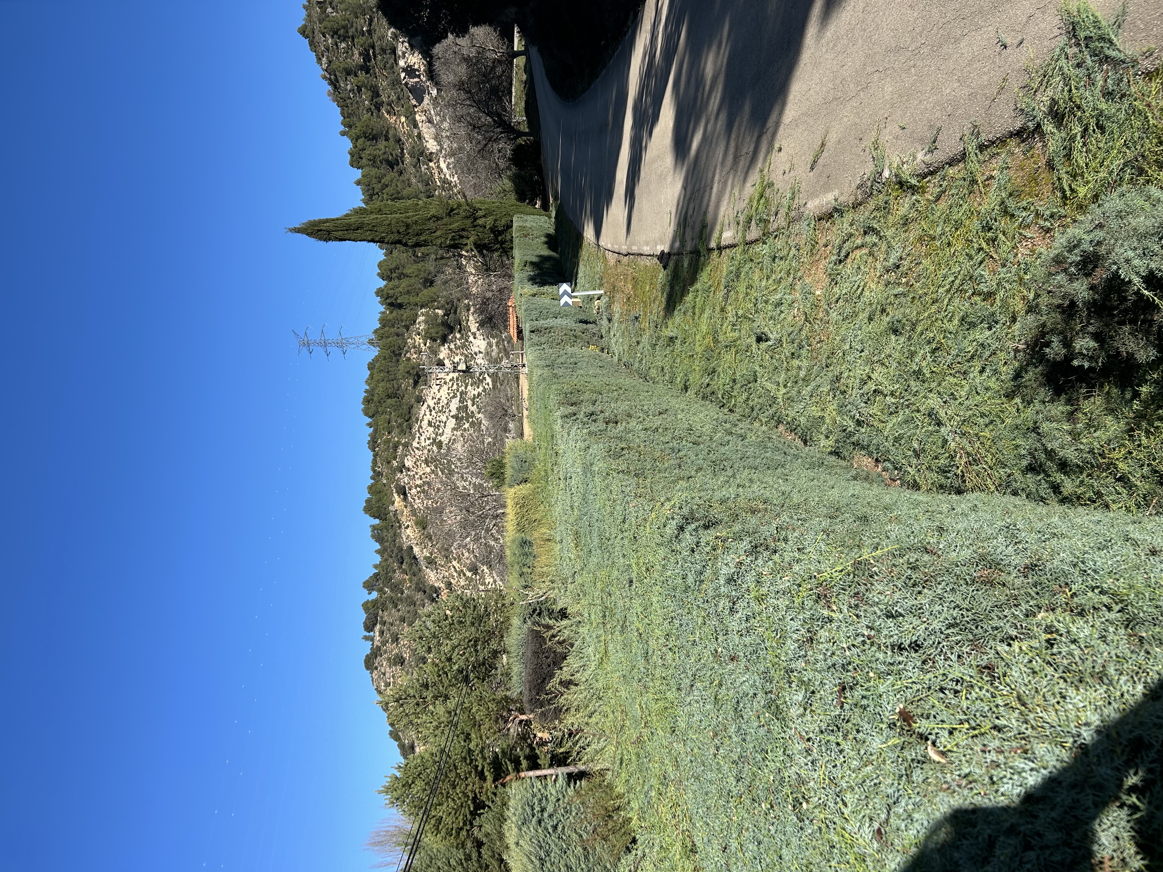 Limpieza y detalle - RURALMAT